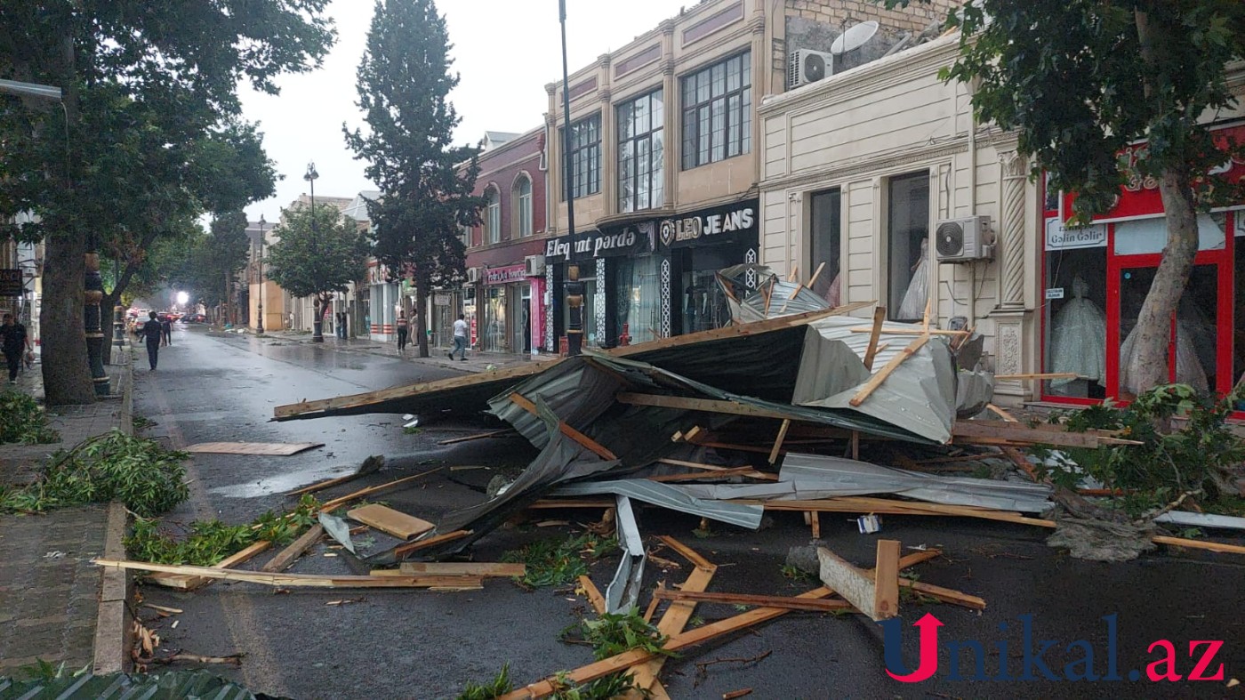 Küləyin fəsadlar törətdiyi rayonların sayı artdı - YENİLƏNİB (FOTO)